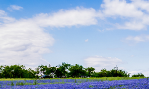 Things to Avoid After Laser Eye Surgery featured image